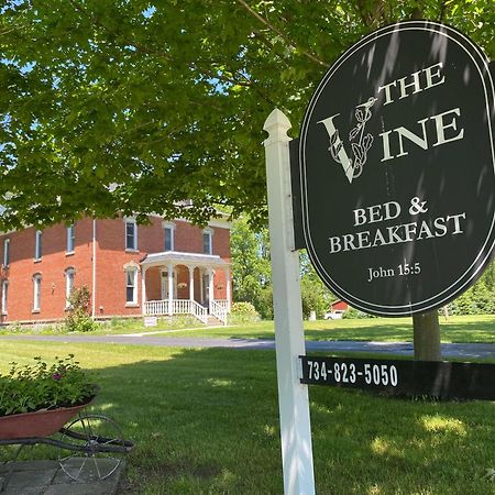 The Vine Bed & Breakfast, Llc Дънди Екстериор снимка