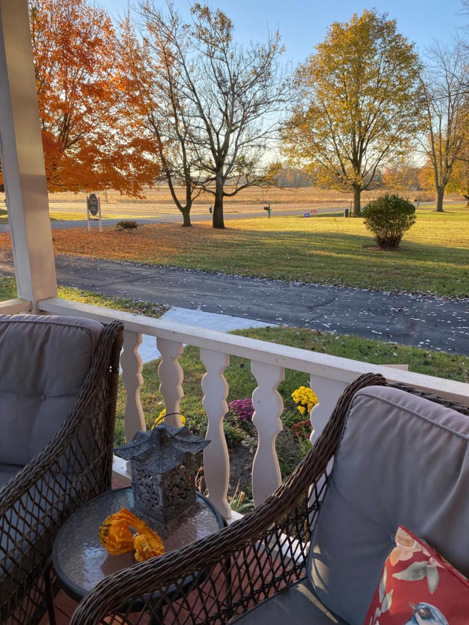 The Vine Bed & Breakfast, Llc Дънди Екстериор снимка