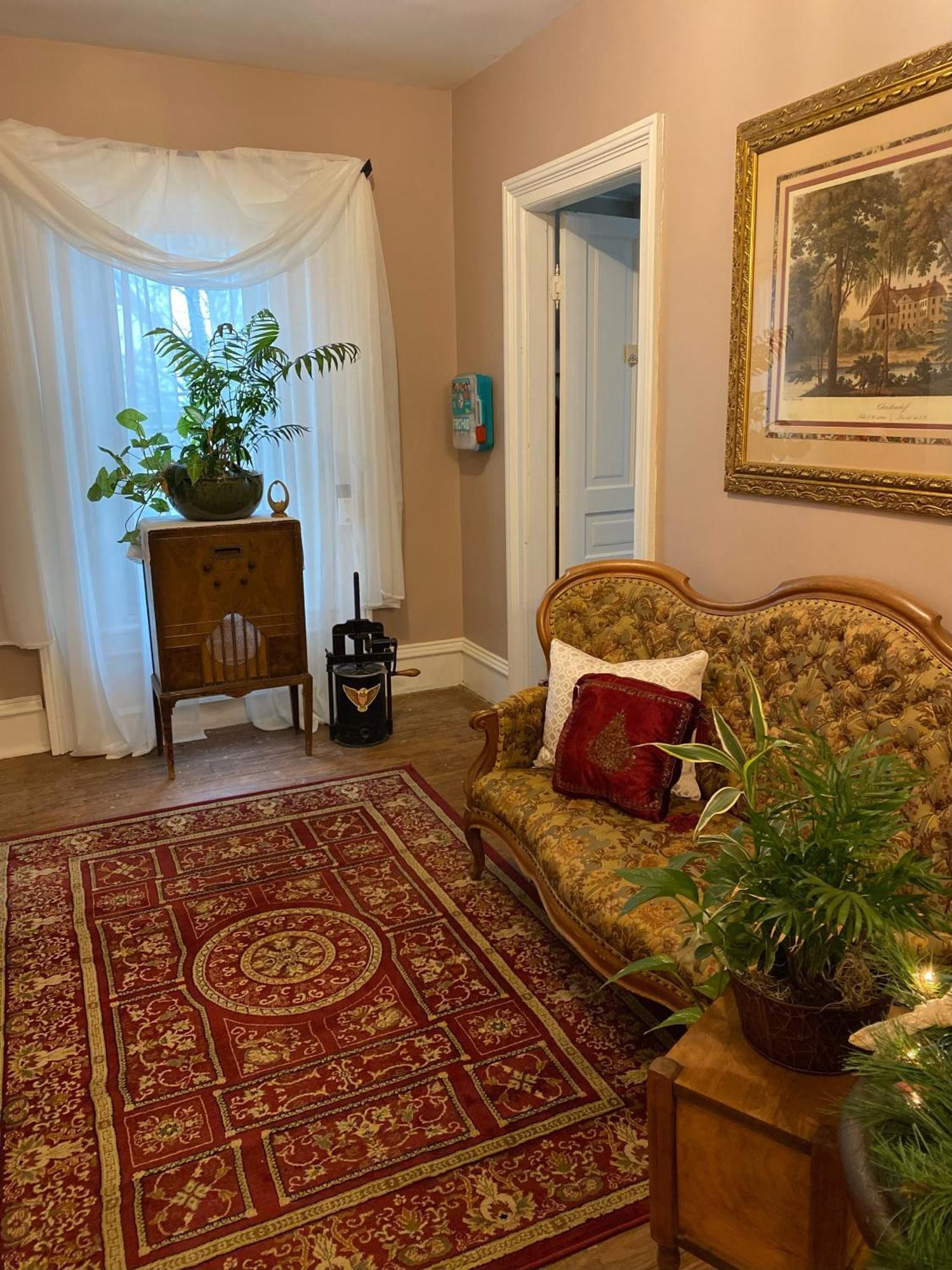 The Vine Bed & Breakfast, Llc Дънди Екстериор снимка